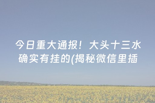 今日重大通报！大头十三水确实有挂的(揭秘微信里插件下载)