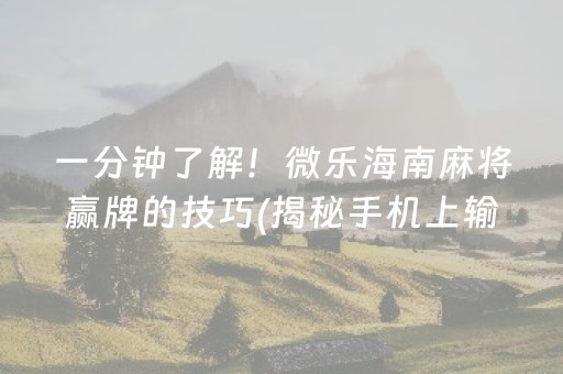一分钟了解！微乐海南麻将赢牌的技巧(揭秘手机上输赢技巧)