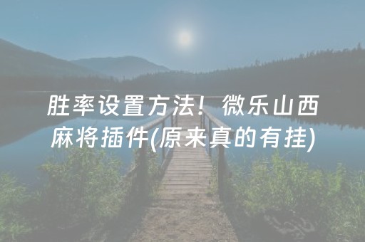 胜率设置方法！微乐山西麻将插件(原来真的有挂)