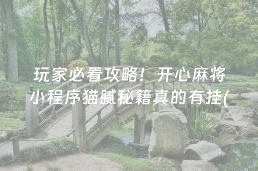 玩家必看攻略！开心麻将小程序猫腻秘籍真的有挂(原来真的有挂)