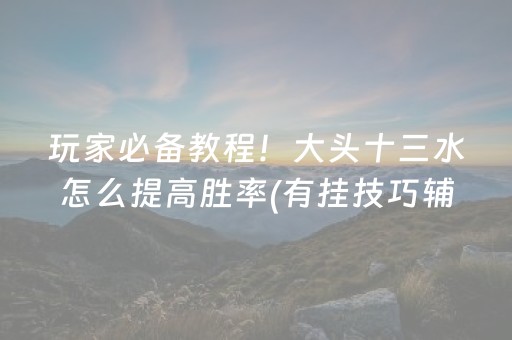 玩家必备教程！大头十三水怎么提高胜率(有挂技巧辅助器)