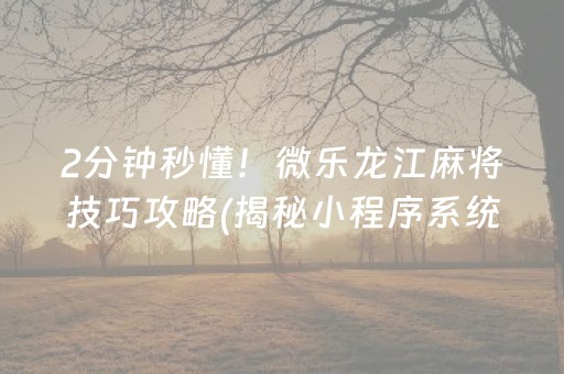 2分钟秒懂！微乐龙江麻将技巧攻略(揭秘小程序系统发好牌)