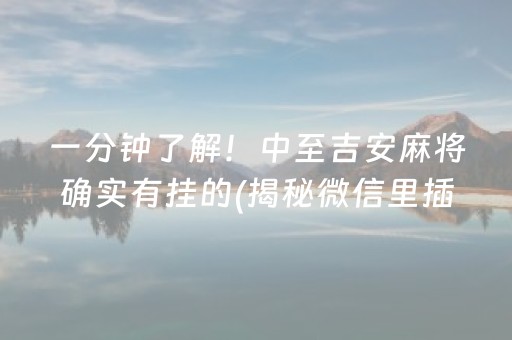 一分钟了解！中至吉安麻将确实有挂的(揭秘微信里插件购买)