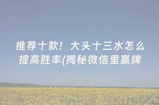 推荐十款！大头十三水怎么提高胜率(揭秘微信里赢牌技巧)