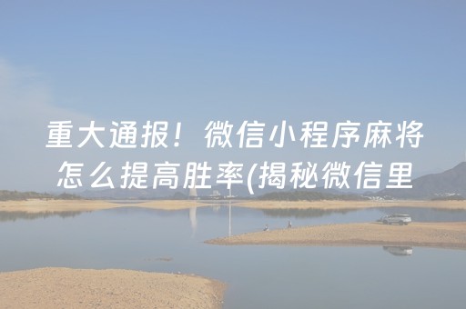 重大通报！微信小程序麻将怎么提高胜率(揭秘微信里专用神器下载)