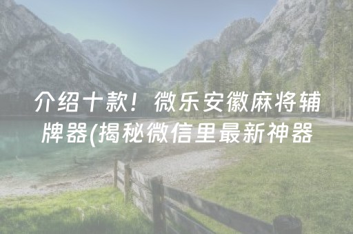 介绍十款！微乐安徽麻将辅牌器(揭秘微信里最新神器下载)