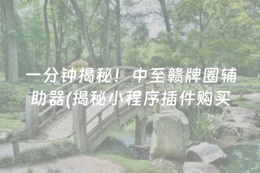一分钟揭秘！中至赣牌圈辅助器(揭秘小程序插件购买)