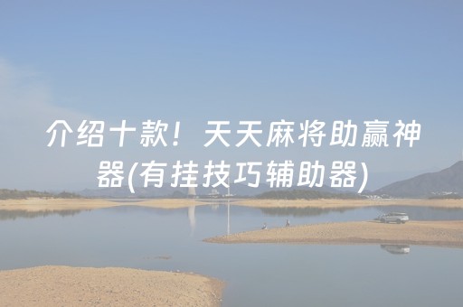 介绍十款！天天麻将助赢神器(有挂技巧辅助器)