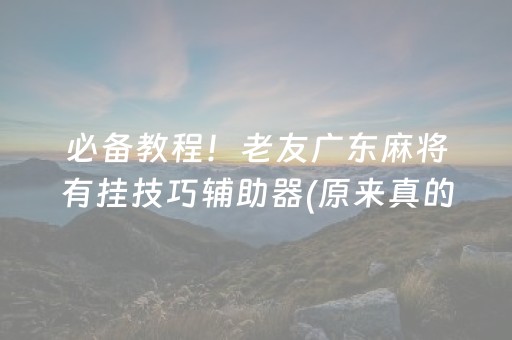 必备教程！老友广东麻将有挂技巧辅助器(原来真的有挂)