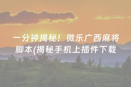 一分钟揭秘！微乐广西麻将脚本(揭秘手机上插件下载)