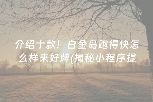 介绍十款！白金岛跑得快怎么样来好牌(揭秘小程序提高胜率)