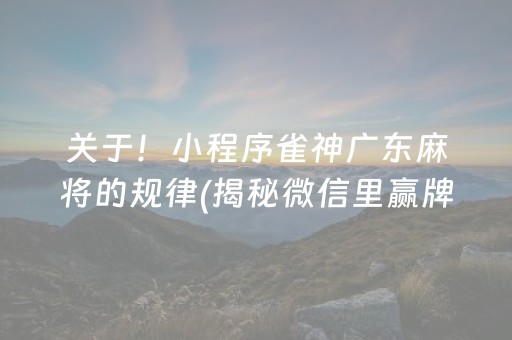 关于！小程序雀神广东麻将的规律(揭秘微信里赢牌技巧)
