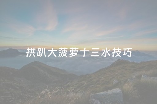 拱趴大菠萝十三水技巧（拱趴大菠萝如何会赢）