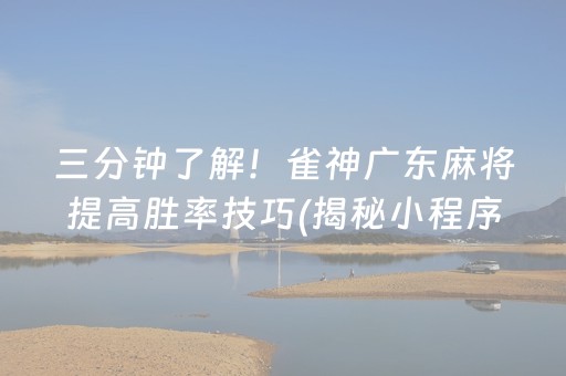 三分钟了解！雀神广东麻将提高胜率技巧(揭秘小程序助攻神器)