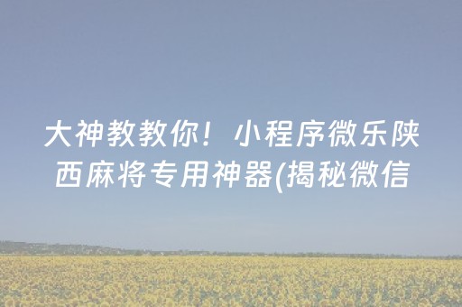 大神教教你！小程序微乐陕西麻将专用神器(揭秘微信里专用神器下载)