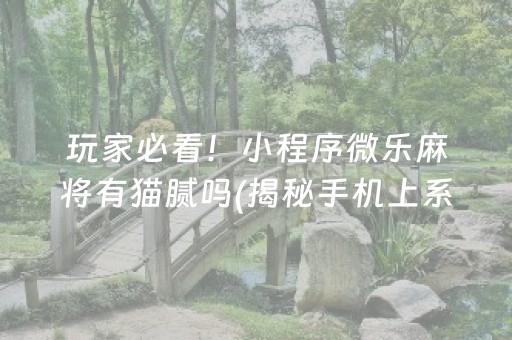 玩家必看！小程序微乐麻将有猫腻吗(揭秘手机上系统发好牌)