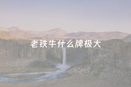 老铁牛什么牌极大（老铁牛牛官网代理中心）