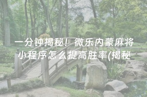 一分钟揭秘！微乐内蒙麻将小程序怎么提高胜率(揭秘手机上胡牌技巧)