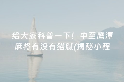 给大家科普一下！中至鹰潭麻将有没有猫腻(揭秘小程序规律攻略)