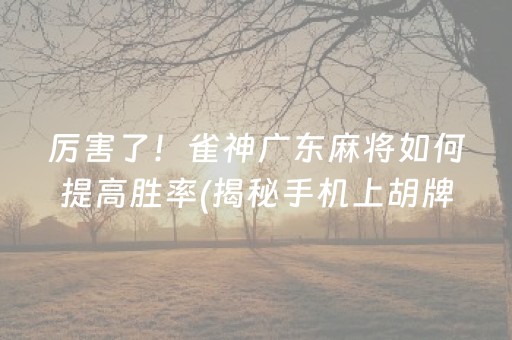 厉害了！雀神广东麻将如何提高胜率(揭秘手机上胡牌神器)