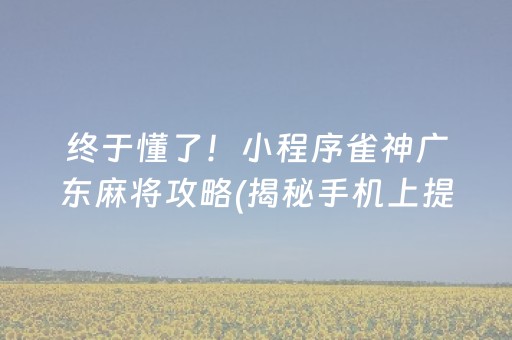终于懂了！小程序雀神广东麻将攻略(揭秘手机上提高胜率)