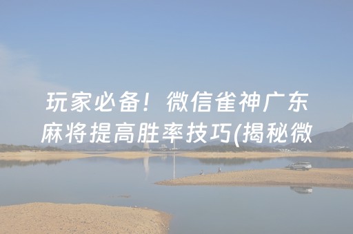 玩家必备！微信雀神广东麻将提高胜率技巧(揭秘微信里助赢神器购买)