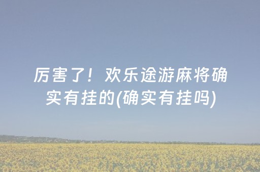 厉害了！欢乐途游麻将确实有挂的(确实有挂吗)
