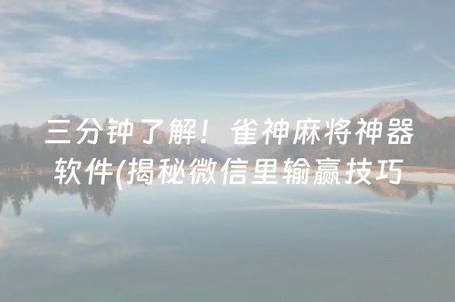 三分钟了解！雀神麻将神器软件(揭秘微信里输赢技巧)