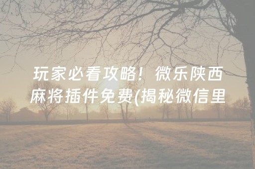 玩家必看攻略！微乐陕西麻将插件免费(揭秘微信里赢牌的技巧)