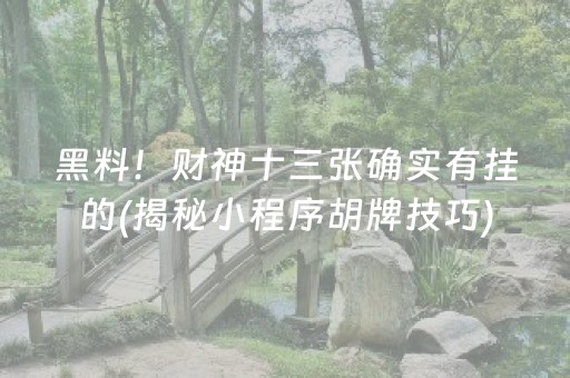黑料！财神十三张确实有挂的(揭秘小程序胡牌技巧)
