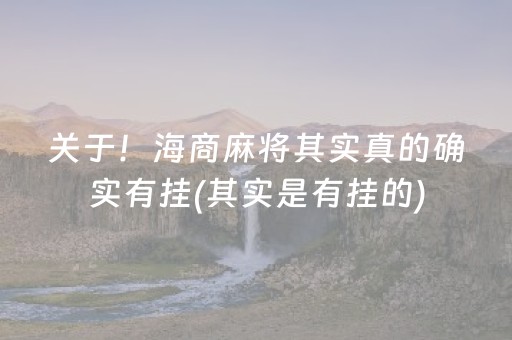 关于！海商麻将其实真的确实有挂(其实是有挂的)