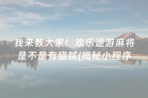 我来教大家！欢乐途游麻将是不是有猫腻(揭秘小程序规律攻略)