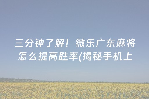 三分钟了解！微乐广东麻将怎么提高胜率(揭秘手机上胜率到哪调)