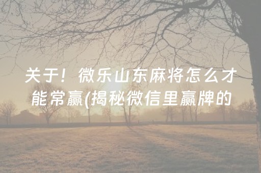 关于！微乐山东麻将怎么才能常赢(揭秘微信里赢牌的技巧)