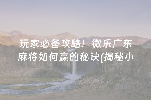 玩家必备攻略！微乐广东麻将如何赢的秘诀(揭秘小程序辅牌器)