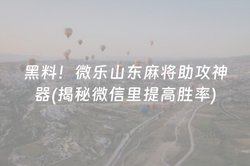 黑料！微乐山东麻将助攻神器(揭秘微信里提高胜率)