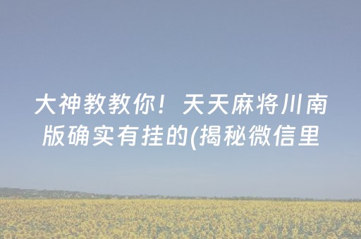 大神教教你！天天麻将川南版确实有挂的(揭秘微信里输赢规律)
