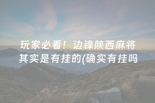 玩家必看！边锋陕西麻将其实是有挂的(确实有挂吗)