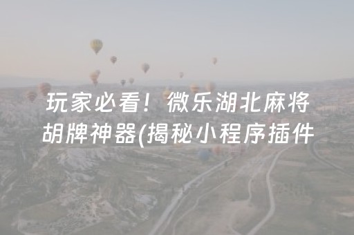 玩家必看！微乐湖北麻将胡牌神器(揭秘小程序插件下载)