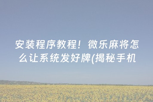 安装程序教程！微乐麻将怎么让系统发好牌(揭秘手机上助手软件)