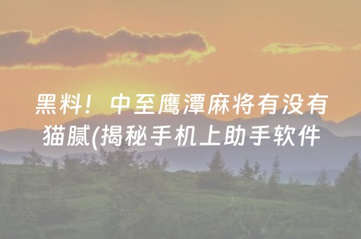 黑料！中至鹰潭麻将有没有猫腻(揭秘手机上助手软件)