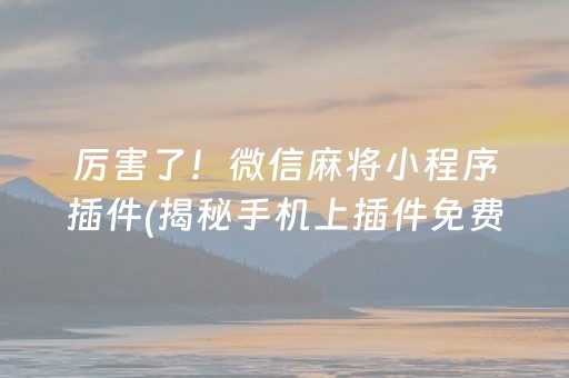 厉害了！微信麻将小程序插件(揭秘手机上插件免费)