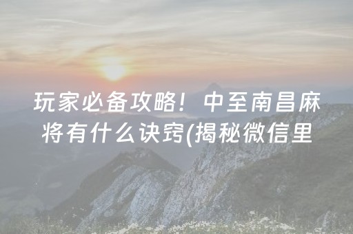 玩家必备攻略！中至南昌麻将有什么诀窍(揭秘微信里提高赢的概率)