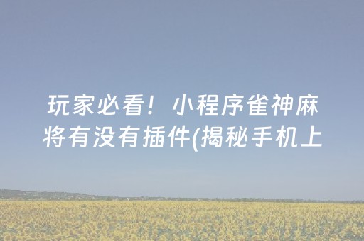 玩家必看！小程序雀神麻将有没有插件(揭秘手机上助赢神器)