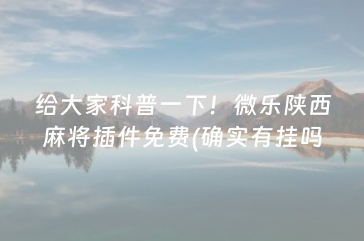 给大家科普一下！微乐陕西麻将插件免费(确实有挂吗)