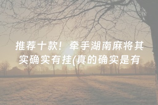 推荐十款！牵手湖南麻将其实确实有挂(真的确实是有挂)