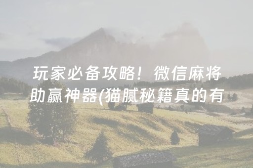 玩家必备攻略！微信麻将助赢神器(猫腻秘籍真的有挂)