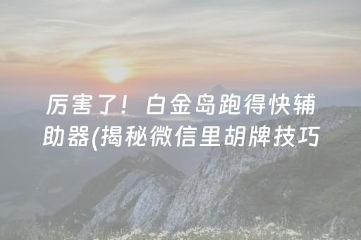 厉害了！白金岛跑得快辅助器(揭秘微信里胡牌技巧)