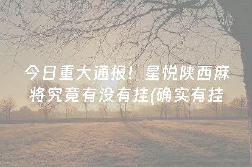 今日重大通报！星悦陕西麻将究竟有没有挂(确实有挂)