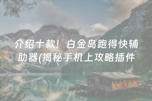 介绍十款！白金岛跑得快辅助器(揭秘手机上攻略插件)
